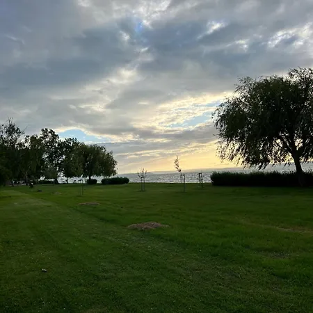 Mango73 * 希欧福克